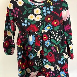 Hanna Andersson Floral Kids Dress - Black, Red, Blue, Green
